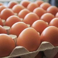 Na jedno jaje iz uvoza, bh. firme izvezu osam jaja